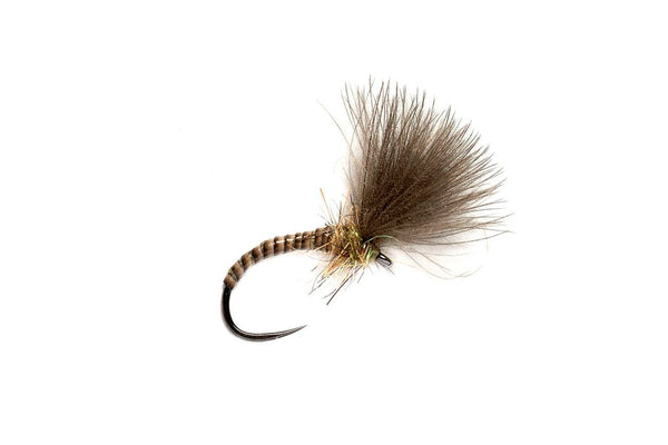Quill CdC Emerger Natural Barbless Fishing Flies Orvis UK