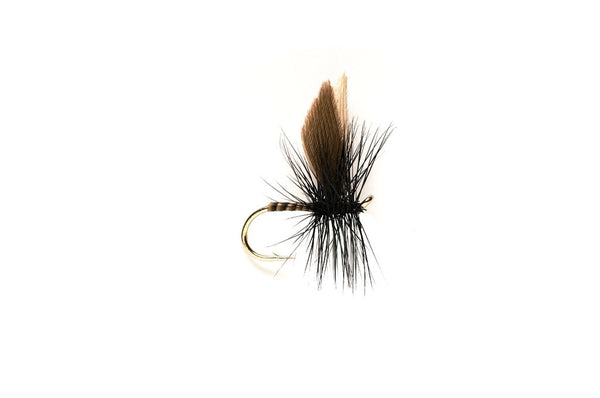 Traditional Black Gnat