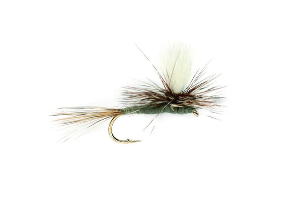 Parachute Adams, Fly Fishing Flies