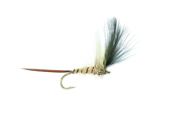 Mayfly (Baz's)