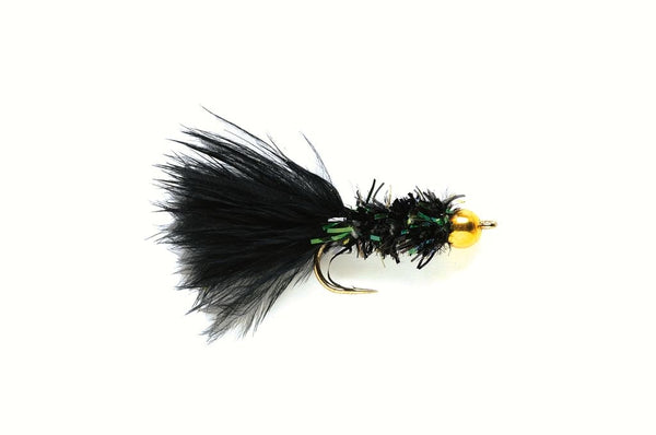 Cactus Fly Black