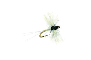 Midge Caenis Polywing