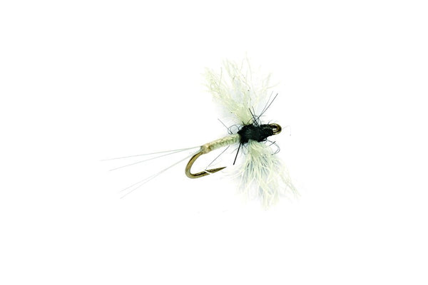 Midge Caenis Polywing