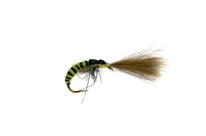 Grannom Pupa CdC Emerger