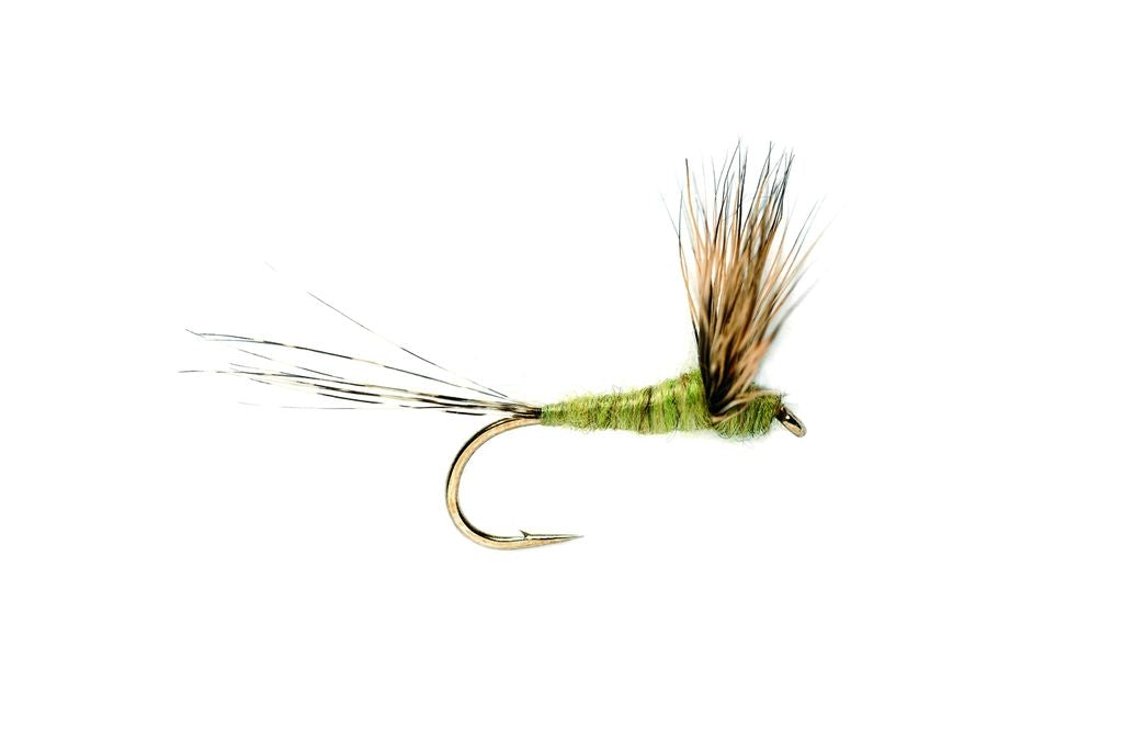 Compara Dun Olive Fly Fishing Equipment Flies For Fishing Orvis UK