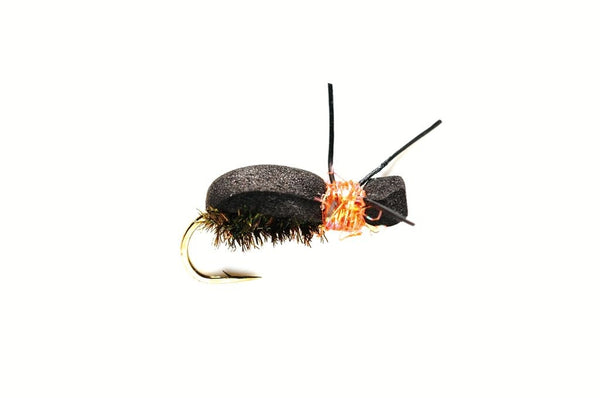 Kicking Beetle Orange