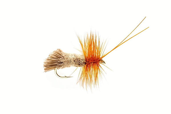 Sedge Goddard Natural