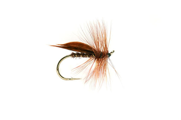 Cinnamon Sedge