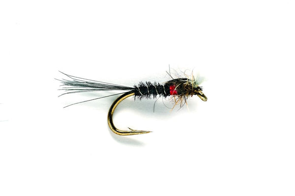 Muskin's Black