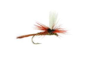Mosche Fly Fishing 6 Pezzi 6 Mosche Da Pesca Tequila FAB Schiuma Arsed Blob - Per Trota, Pesca A Mosca, Confezione Assortita Esche Artificiali World Class Flies - Foto 10
