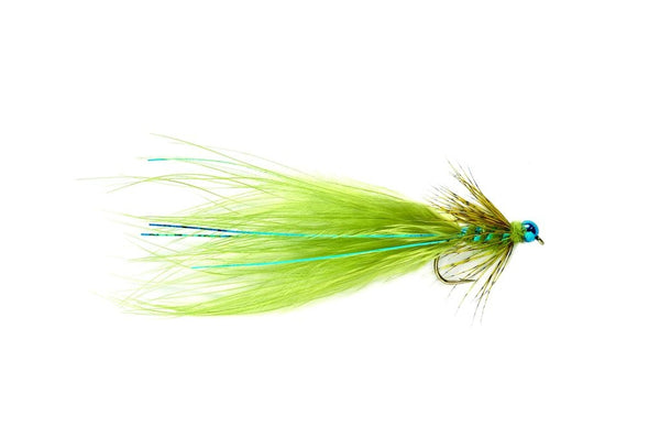 Kingfisher Blue Damsel
