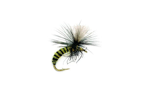 Grannom Pupa Para