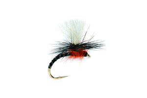 Flexi Black